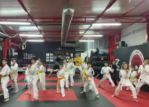 karate-kids